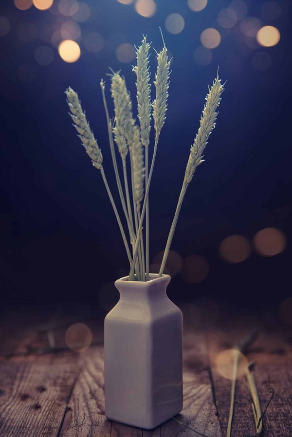 Quali varietà di grano antico sono meno allergeniche per chi soffre di sensibilità al glutine?